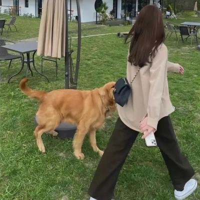 失踪的邦妮